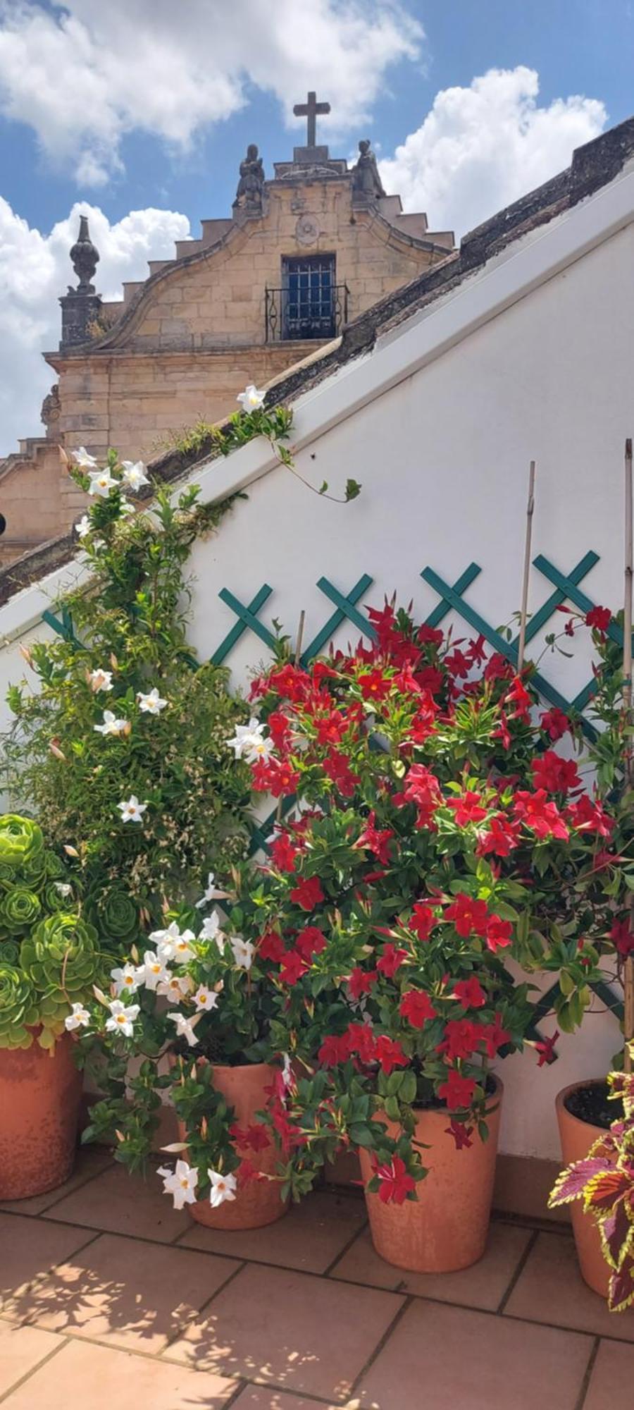 Apartamentos Los Descalzos Angel With Private Terrace Free Parking Ronda Exterior photo