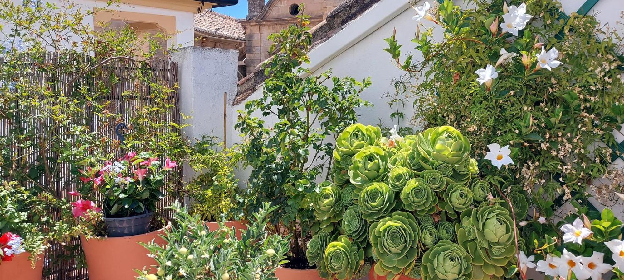 Apartamentos Los Descalzos Angel With Private Terrace Free Parking Ronda Exterior photo