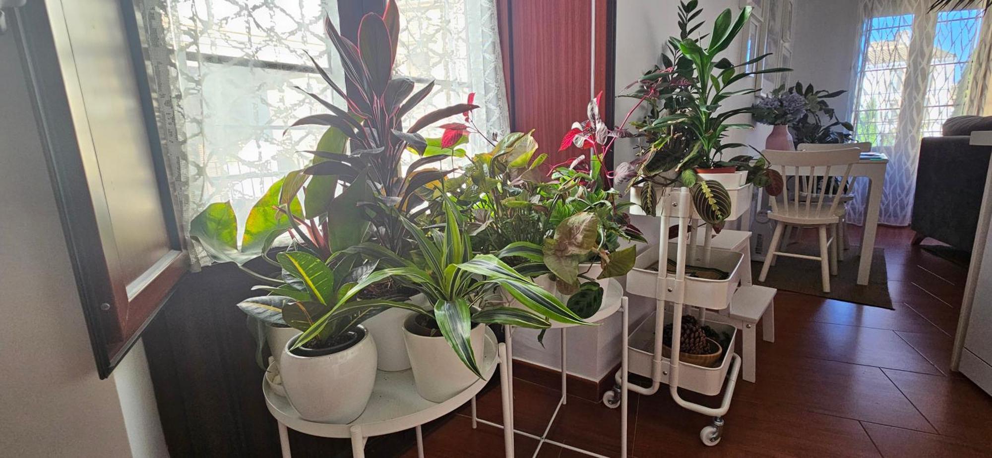 Apartamentos Los Descalzos Angel With Private Terrace Free Parking Ronda Exterior photo