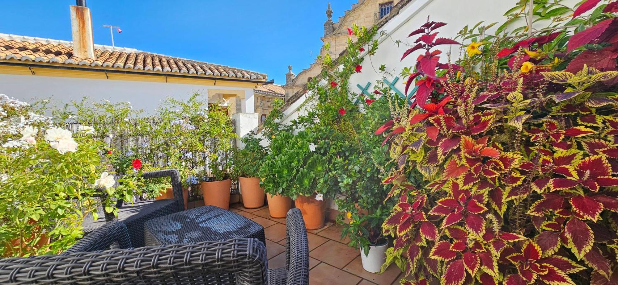 Apartamentos Los Descalzos Angel With Private Terrace Free Parking Ronda Exterior photo